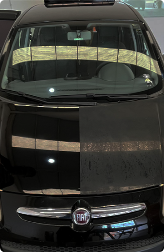 Serviço Lorem Ipsum 3